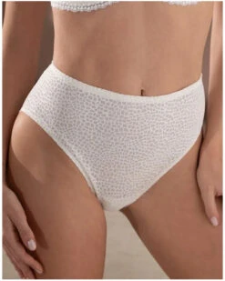 Slip Taille Haute Antigel Exquise En Dentelle (Ecru Nacre)