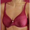 Soutien-gorge Armature Bien-être Antigel Ballerine Des Ondes (Or Cerise) -mesdessous soutien gorge armature bien etre antigel ballerine des ondes or cerise