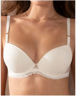Soutien-gorge Coque Antigel Exquise En Dentelle (Ecru Nacre)