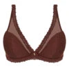 Soutien-gorge Plunge Demi Mousse Antigel Exquise En Dentelle (Cappuccino)
