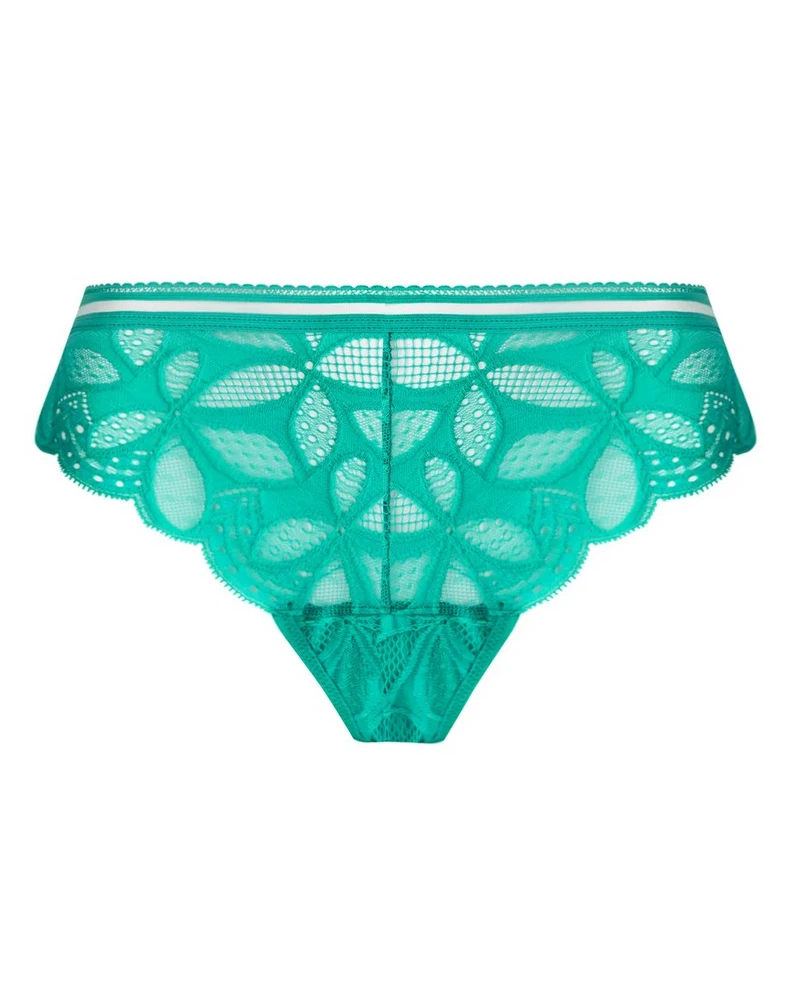 String Antigel Stricto Sensuelle (Stricto Vert) 4 String Antigel Stricto Sensuelle (Stricto Vert) – Image 2